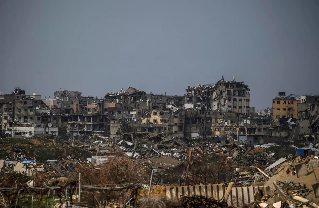 Al-zaytun-Gaza-efe