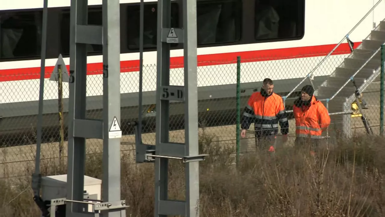 20250215152238_talgo_
