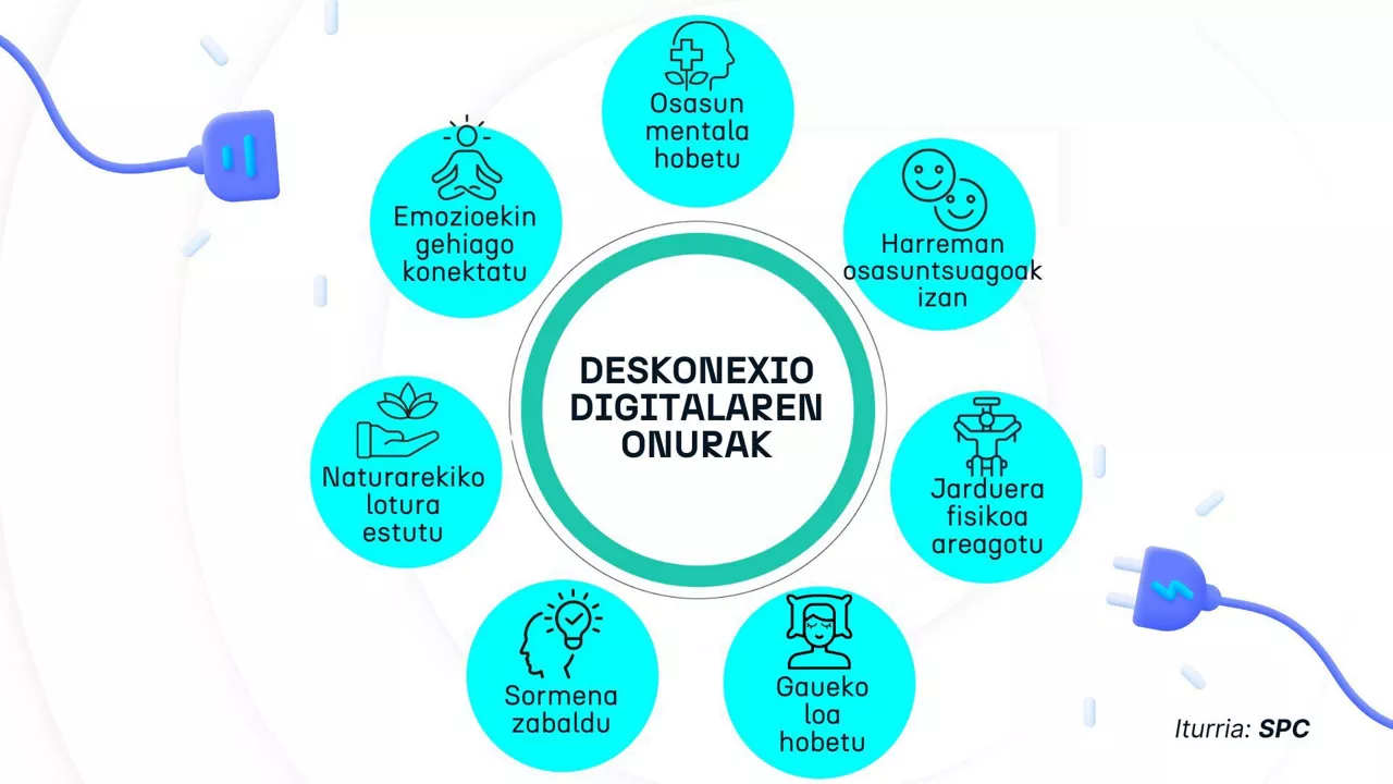 DESKONEXIO DIGITALA_dls2