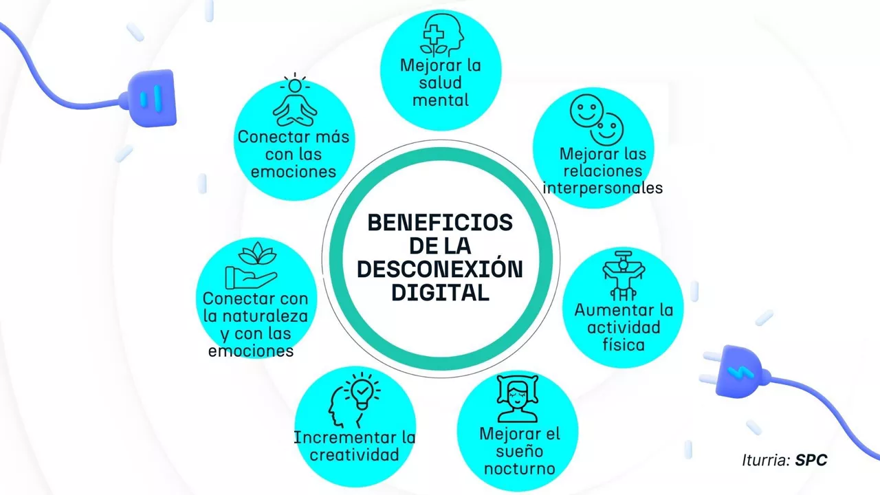 DESKONEXIO DIGITALA ES dls2