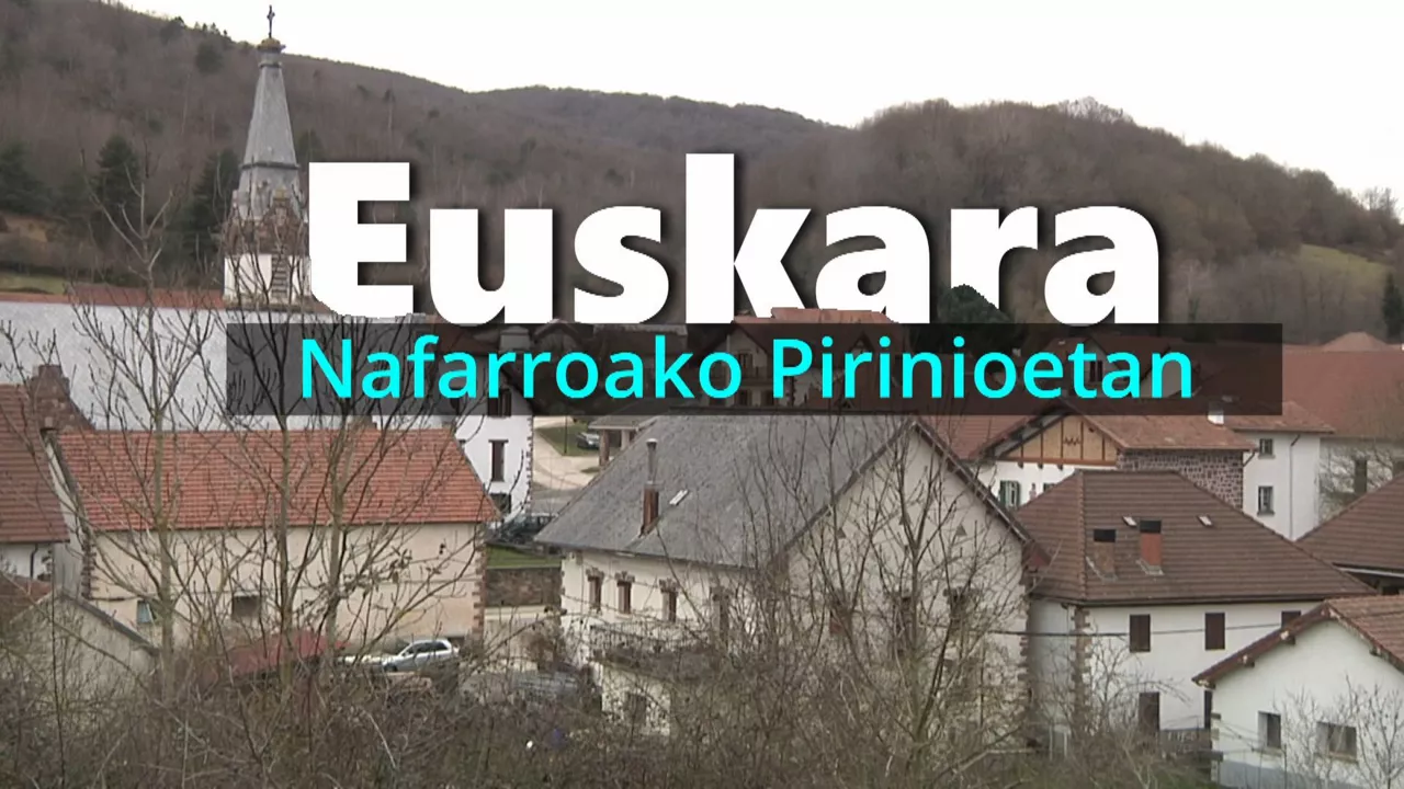 20250221130850_euskara-pirinioetan_