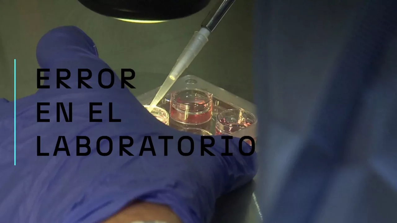 20250221181730_in-vitro-gazt_