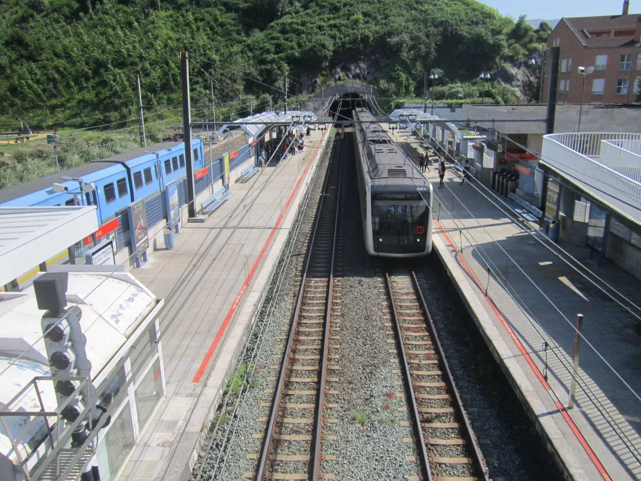 Lutxana trena ETS