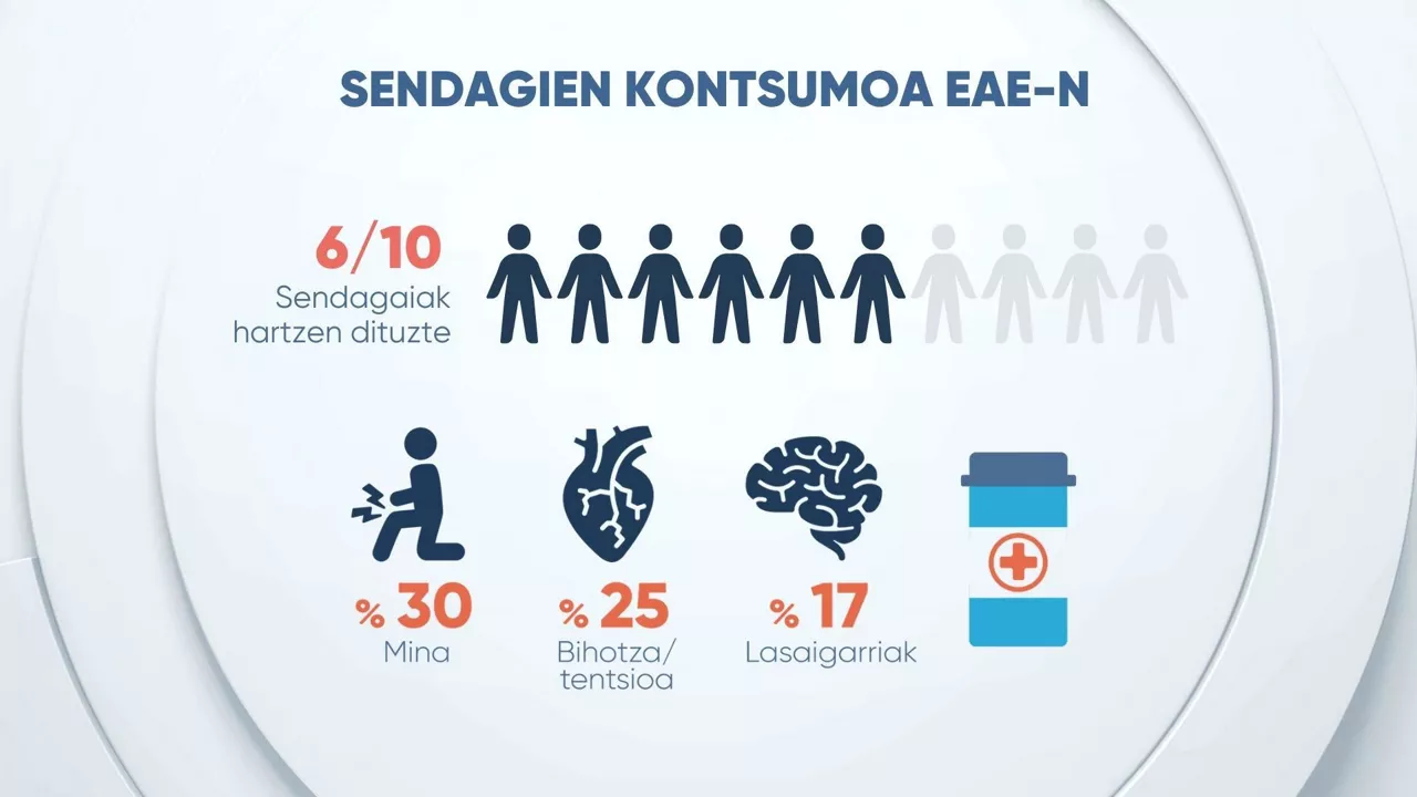 DSL SENDAGAIEN KONTSUMOA