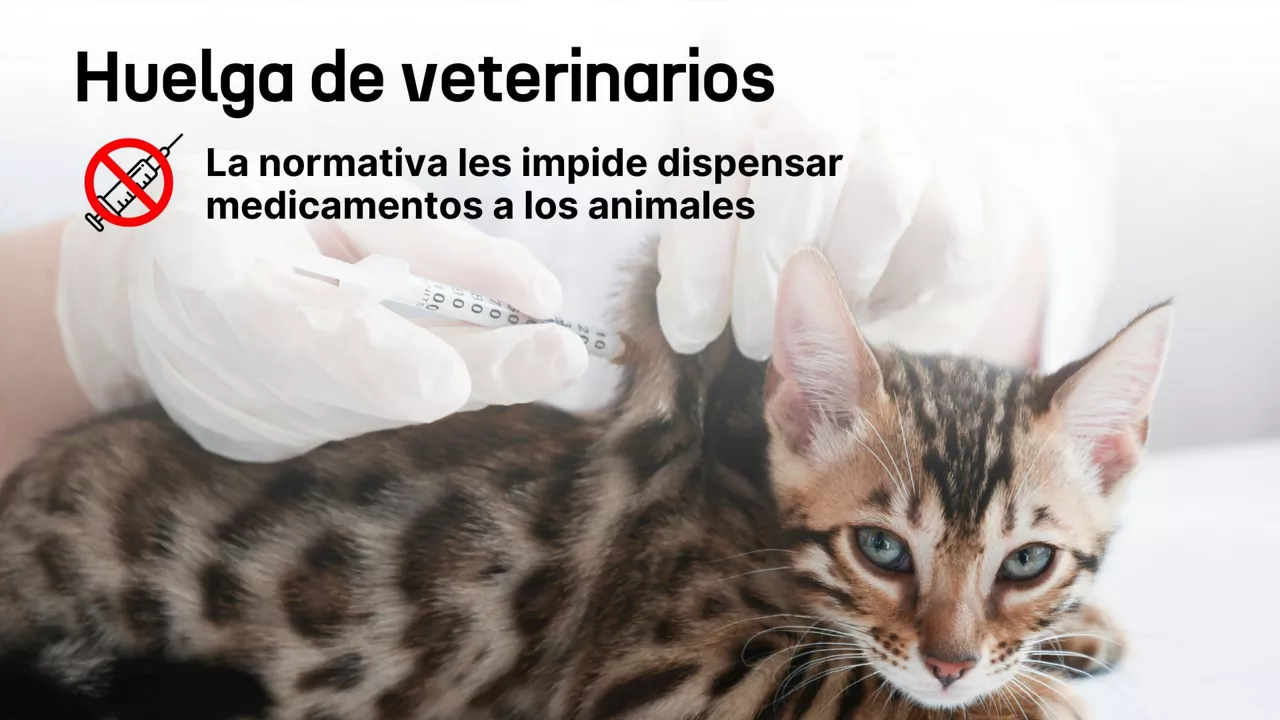 dls veterinarios eitb