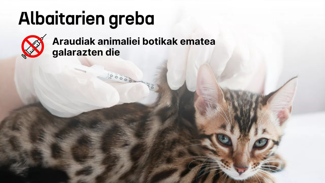 greba albaitariak dls eitb