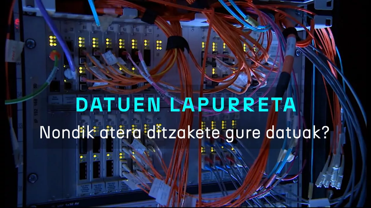 20250305172509_datuen-lapurreta-nondik-atera-ditzakete-gure-datuak_
