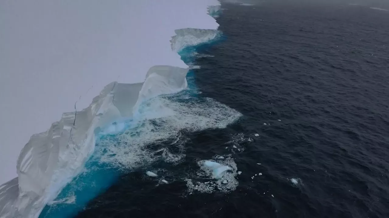 20250306145559_iceberg_