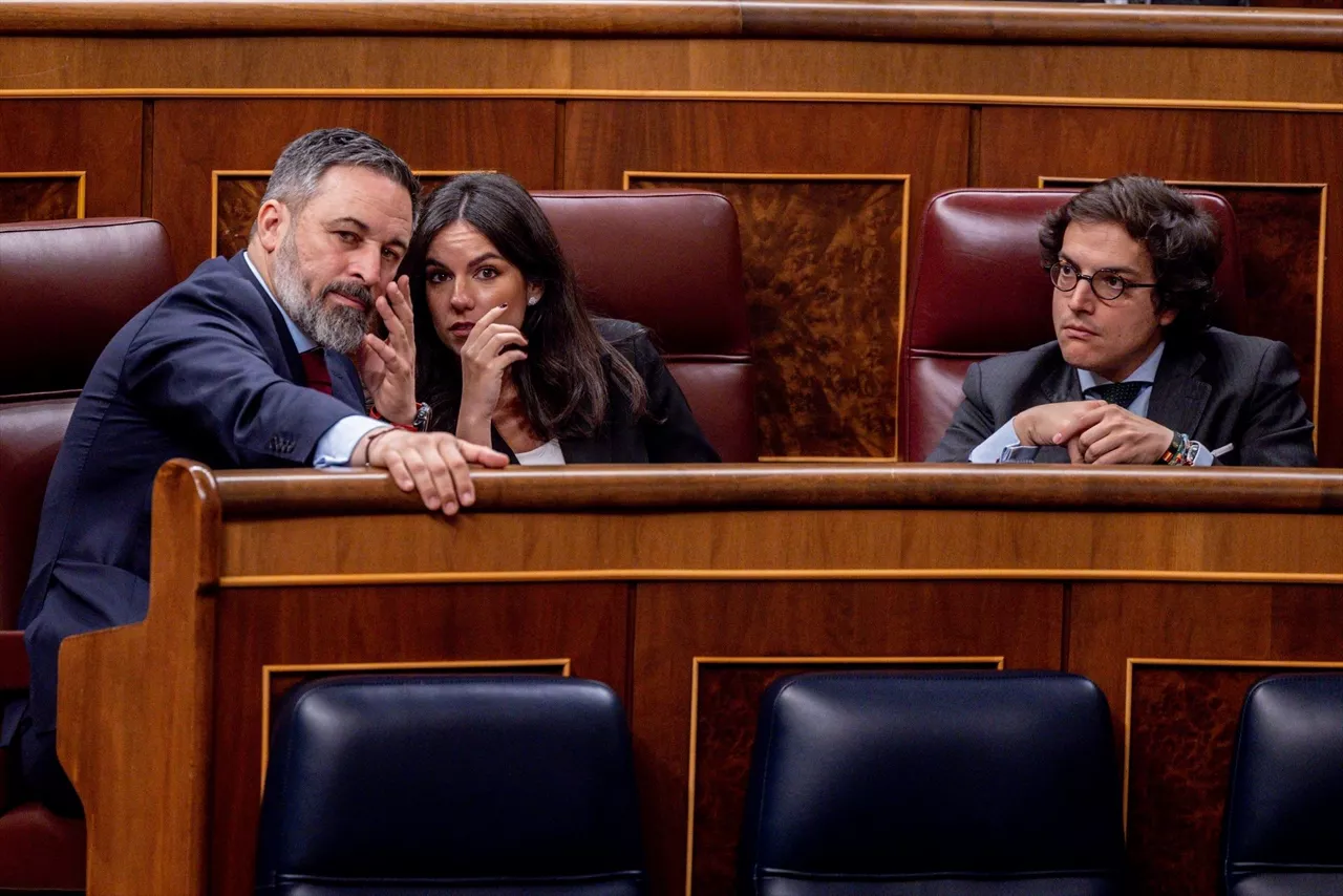 vox_santiago_abascal-congreso_pepa_millan-jose maria figaredo