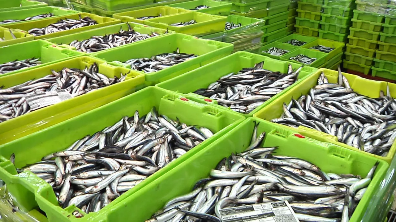 20250311105125_anchoas-getaria_