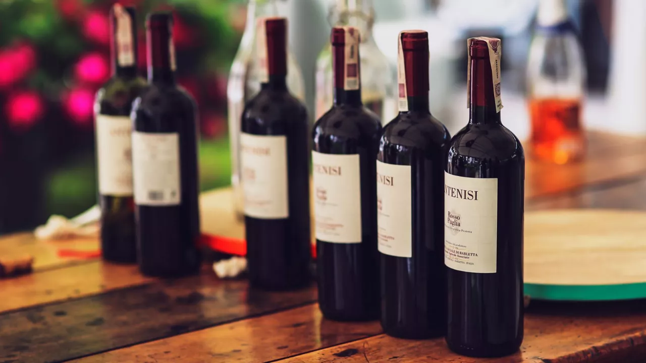 Ardoa Vino