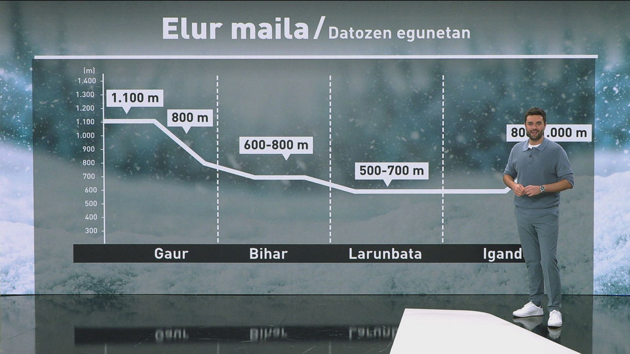 eguraldia elurra