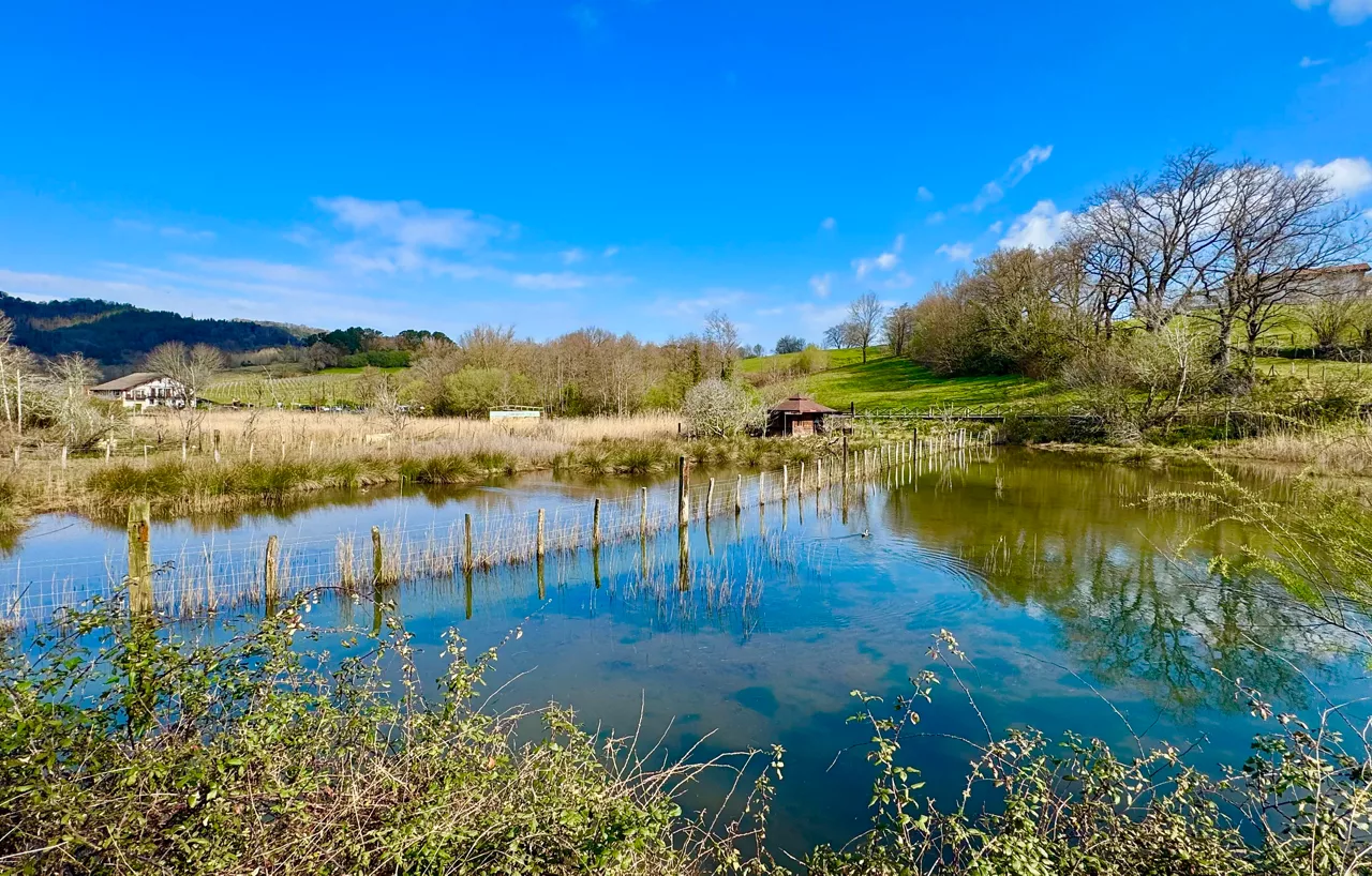 Jaitzubia Hondarribia padurak marismas