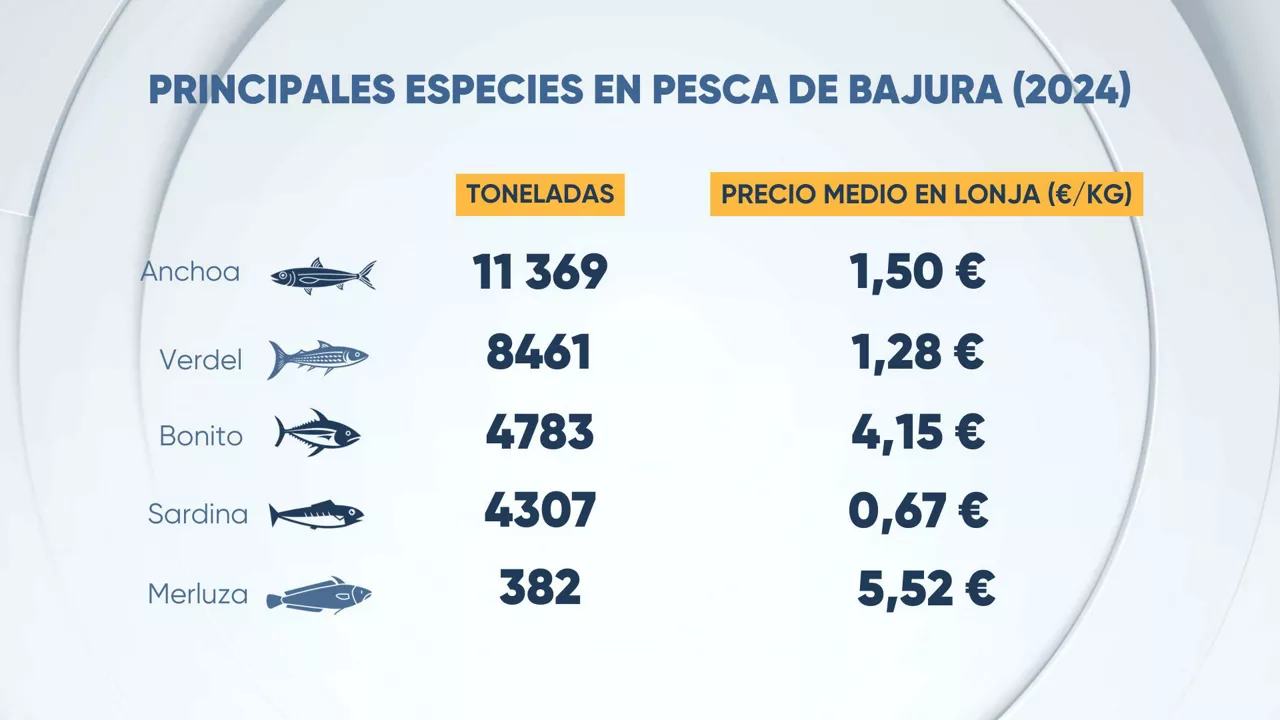 DATA-Pesca-2- es