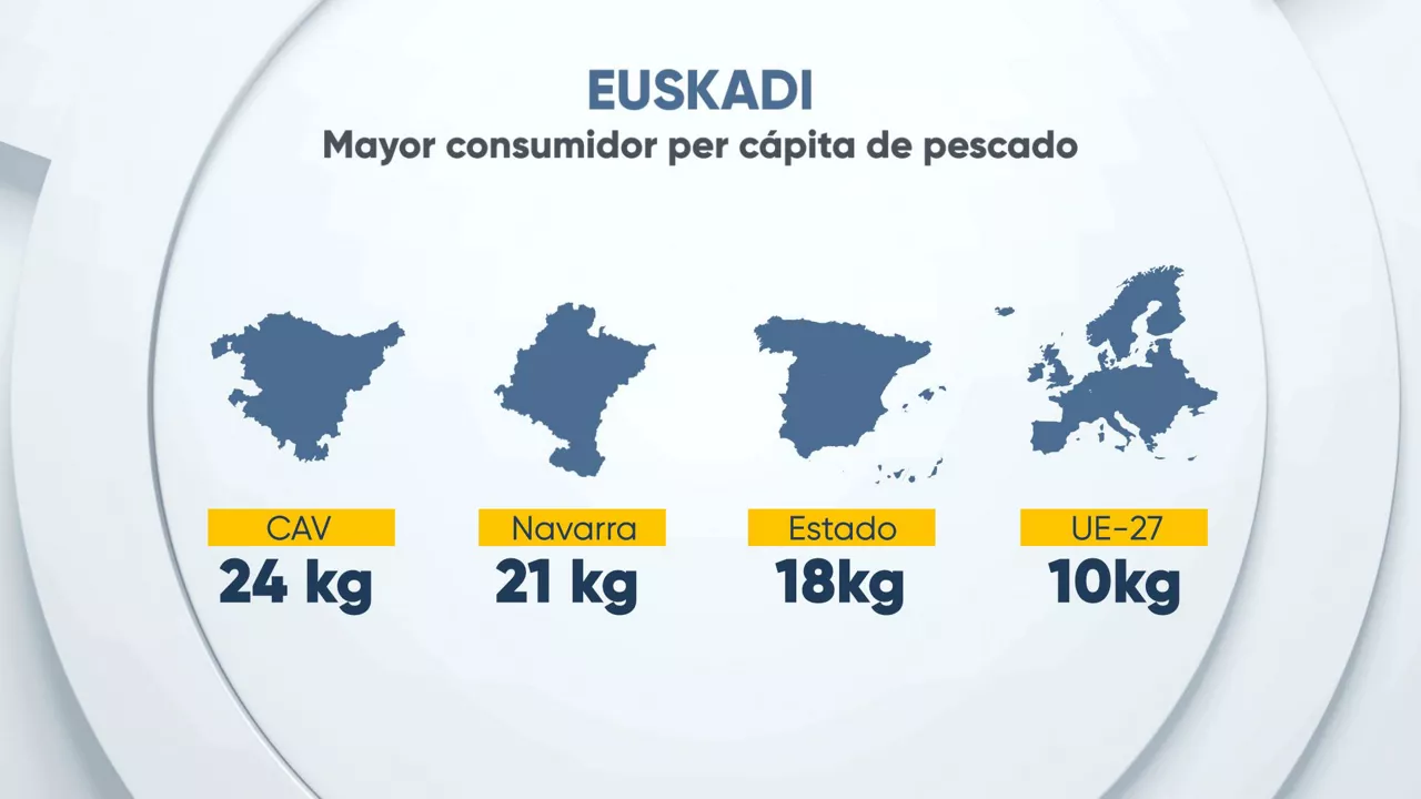 DATA-Pesca-7