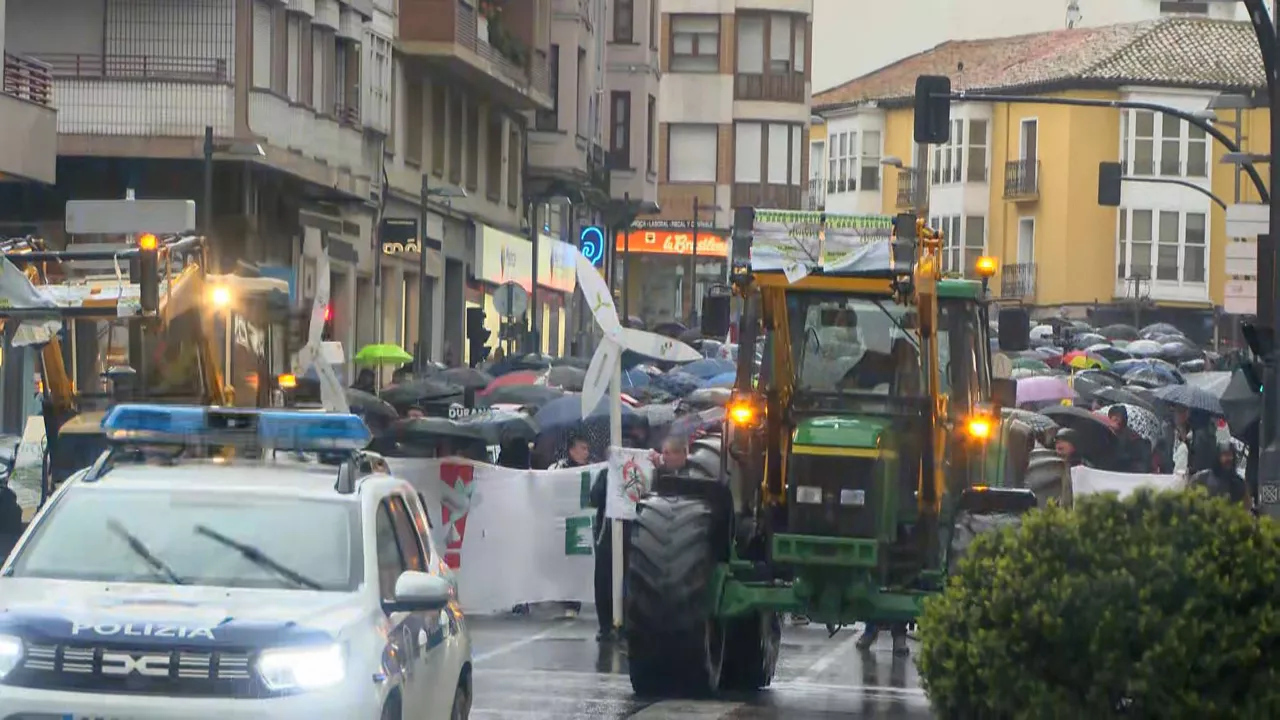 20250322214230_euskal-herria-bizirik-manifestazioa-gasteiz_
