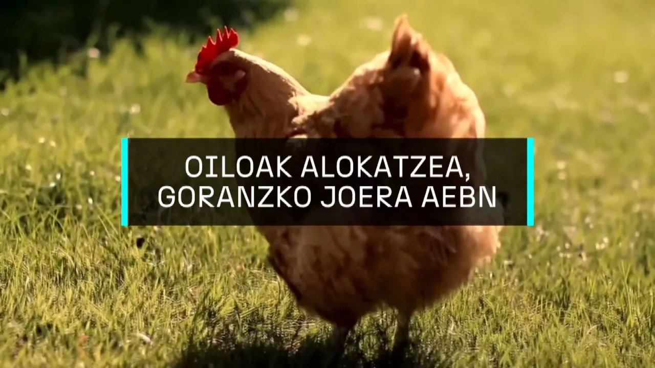 20250323131859_oioloak_