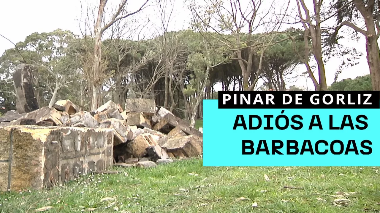 20250326180822_pinar-de-gorliz-barbacoas_