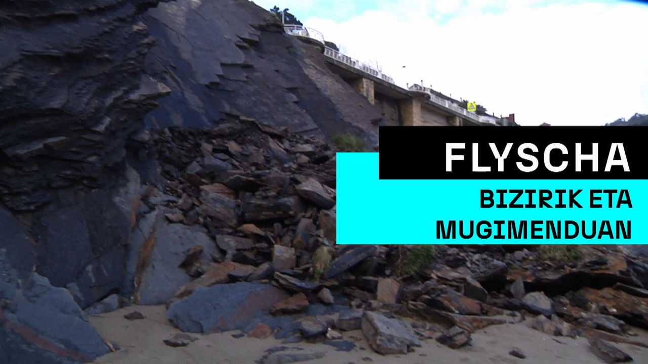 20250326184817_flyscha-mugimenduan_