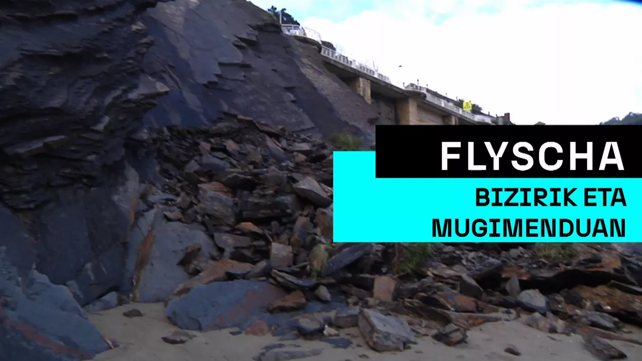 20250326184817_flyscha-mugimenduan_