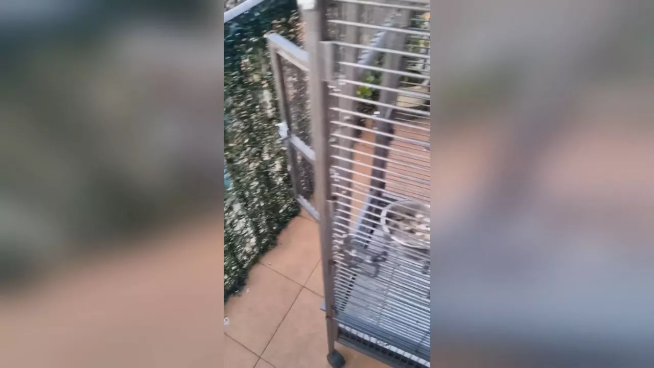20250331082517_loro_