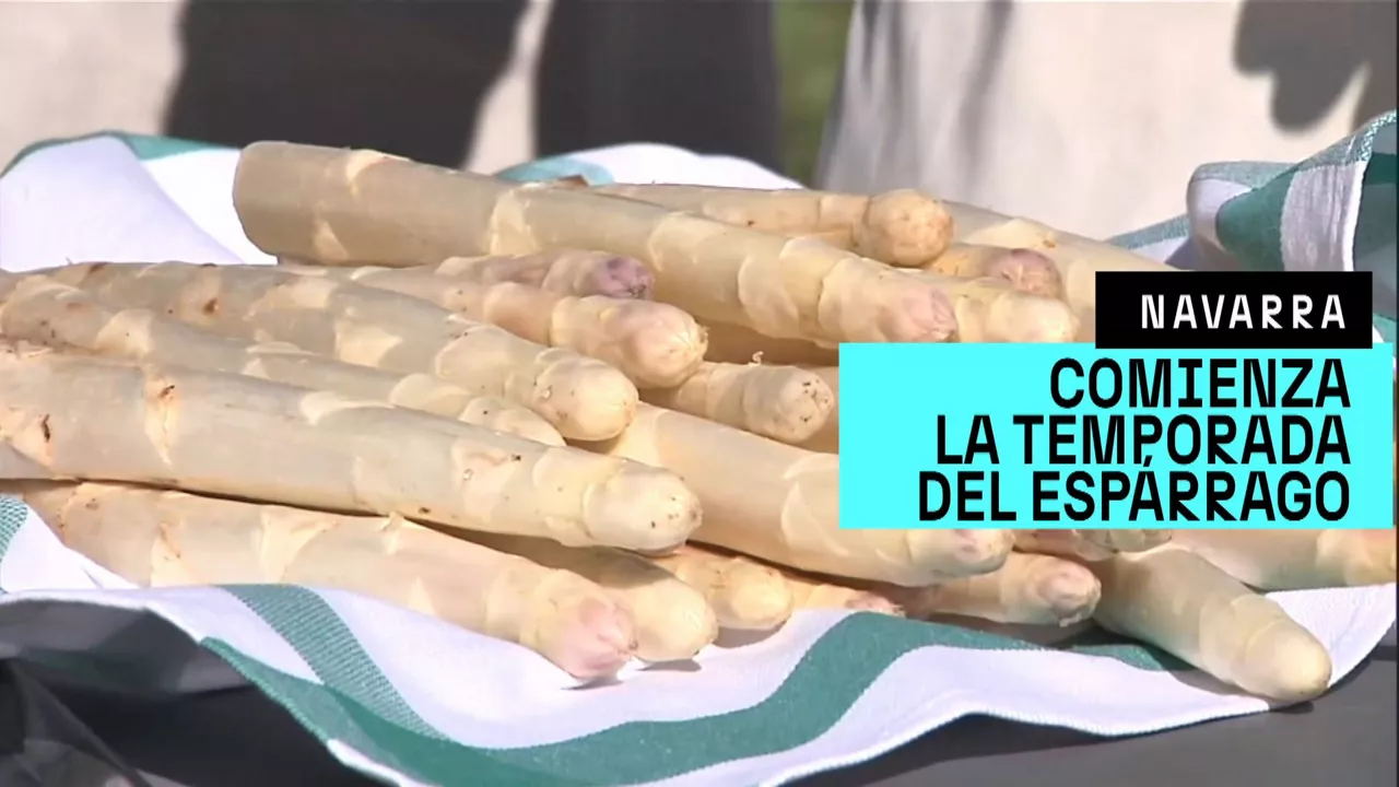 20250401173024_esparragos-navarra_
