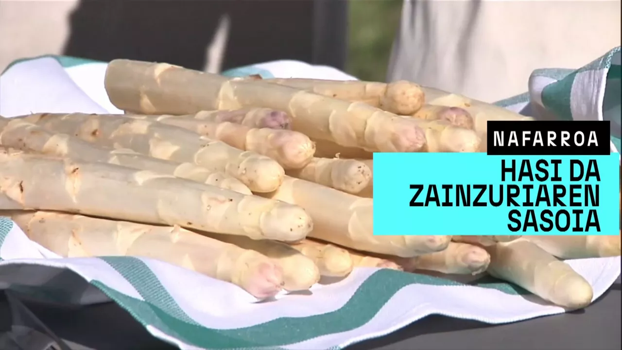 20250401173852_nafarroa-zainzuriak_