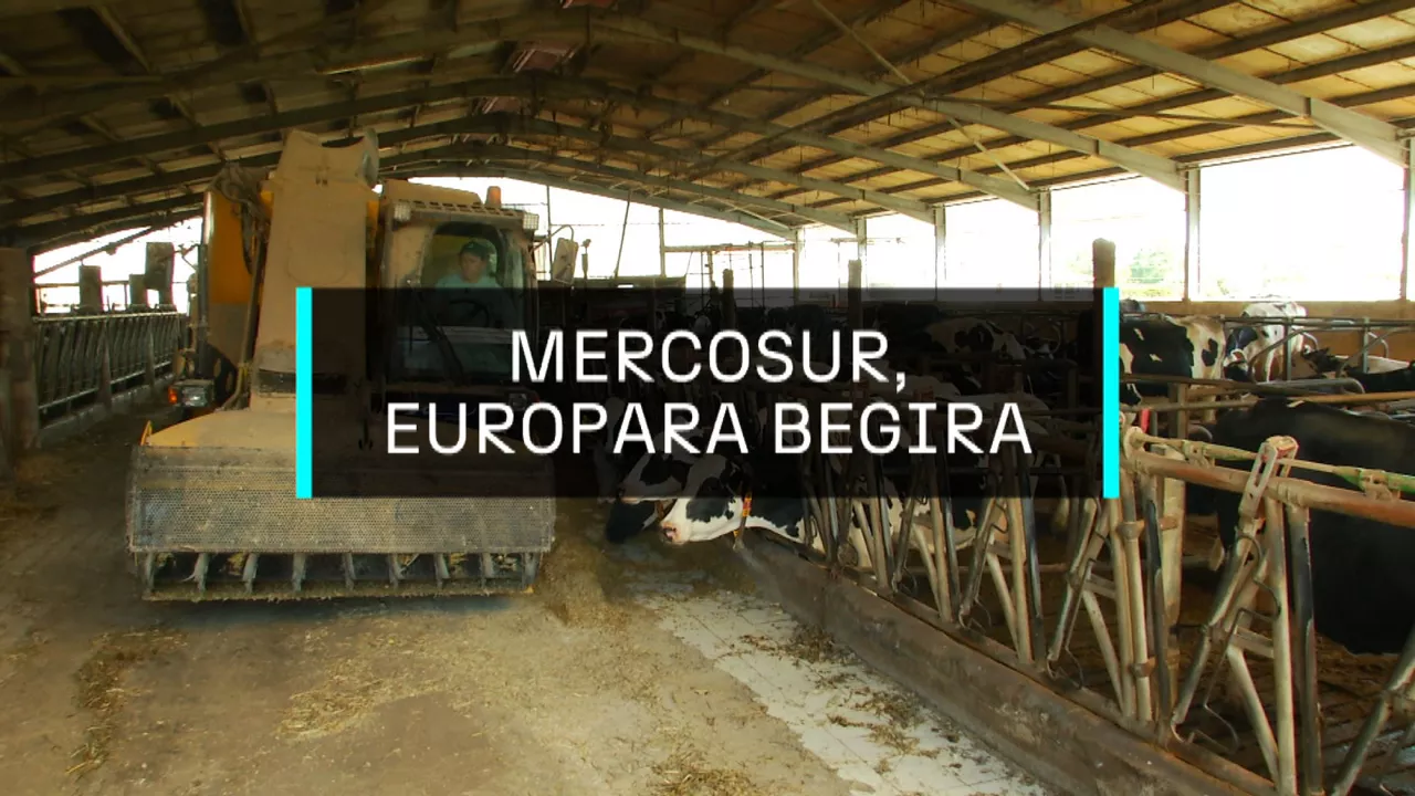 20250406110501_mercosur_