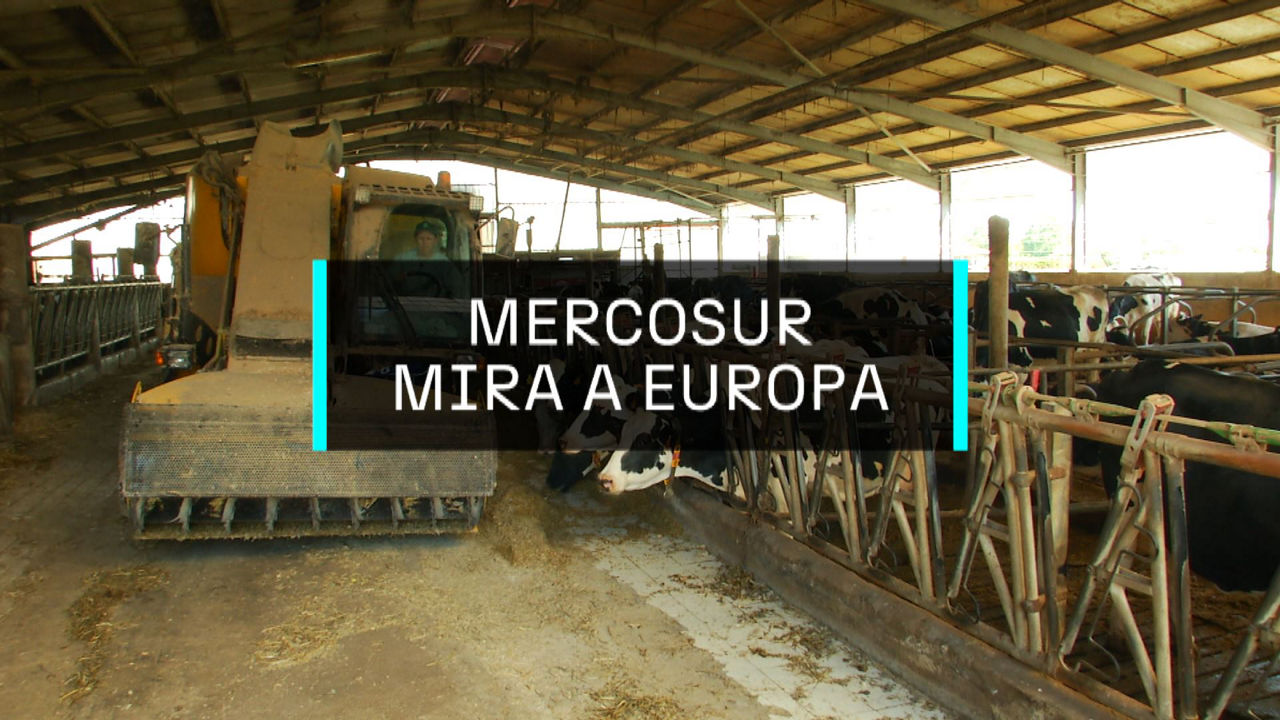 20250406111306_europa_