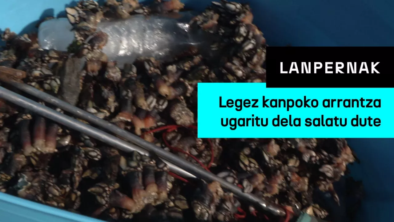 20250408213438_lanpernak-legez-kanpoko-arrantza_