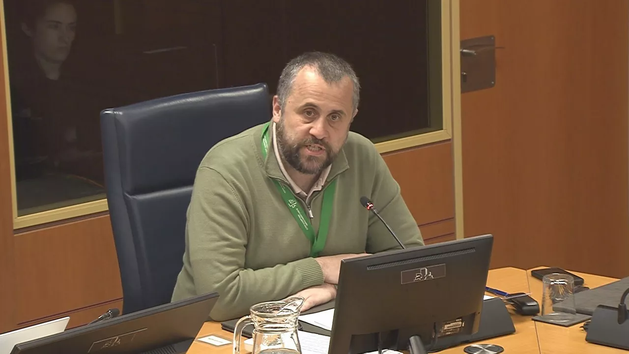 Alberto Alonso gogora eitb