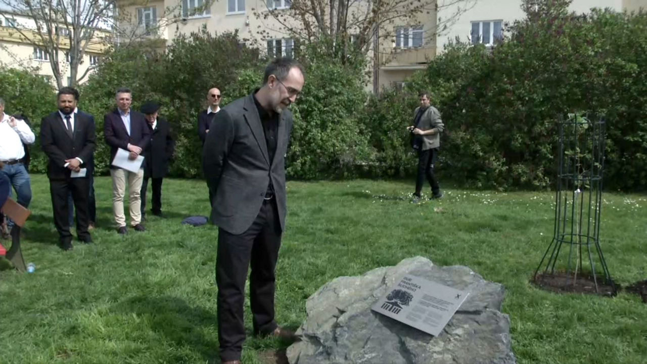 20250415141947_retono-arbol-de-gernika-praga_