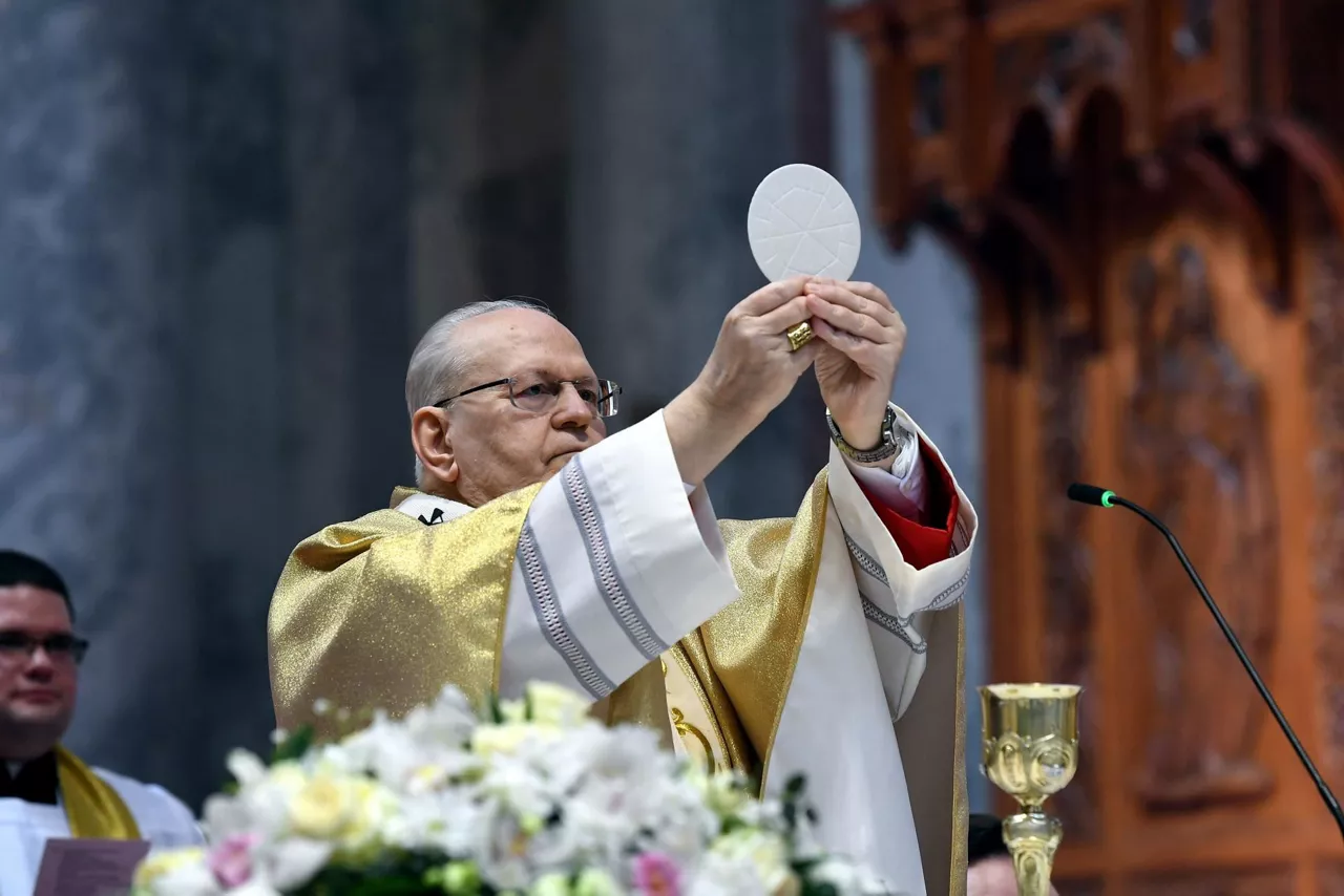 Peter-Erdo-candidato-papa-efe