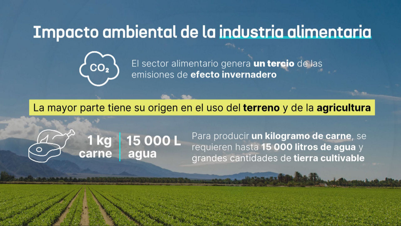 20250428094506_dlsalimentaciongazt_
