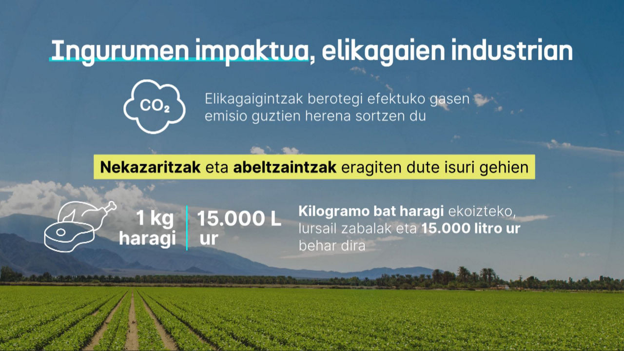 20250428095621_dlsingurumenimpaktuaeusk_