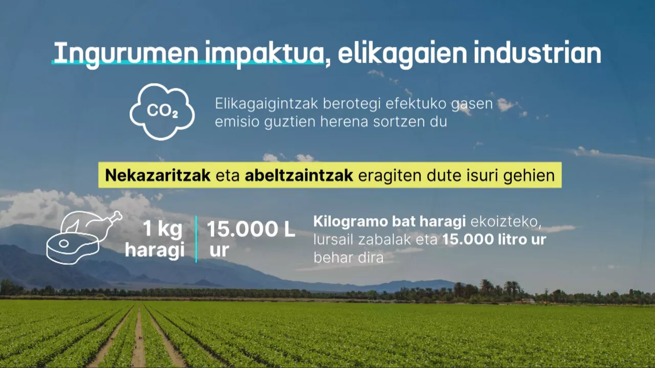 20250428095621_dlsingurumenimpaktuaeusk_