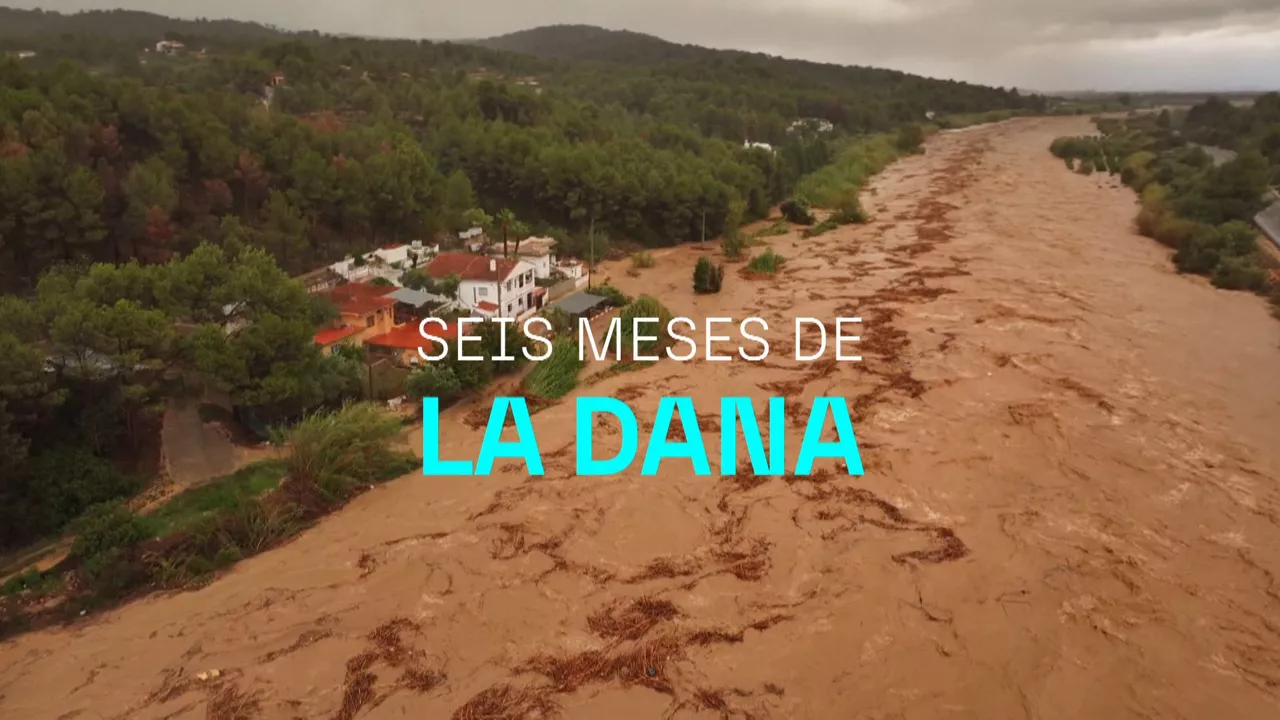 20250428121447_dana_