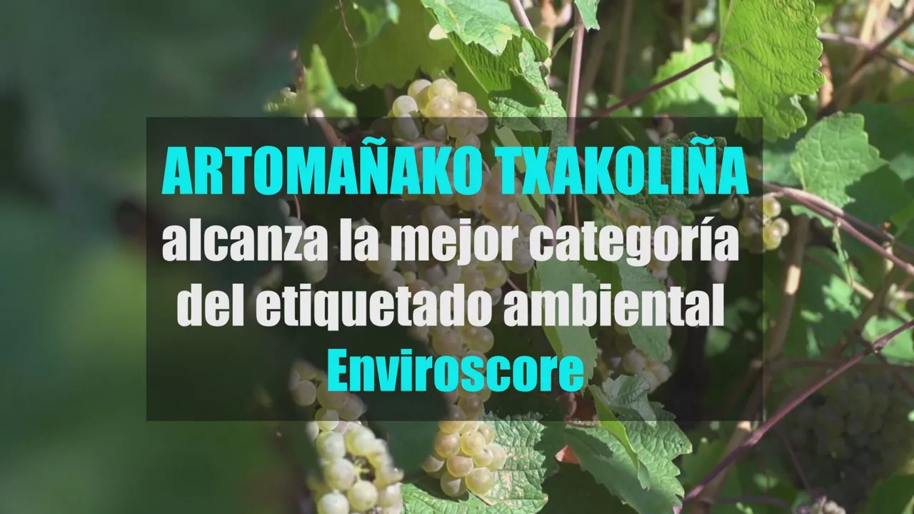 portada-artomaña-eusk