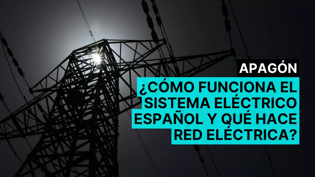 dls red electrica castellano