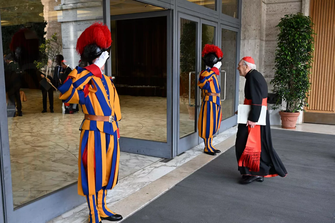 cardenal-roma-vaticano-efe