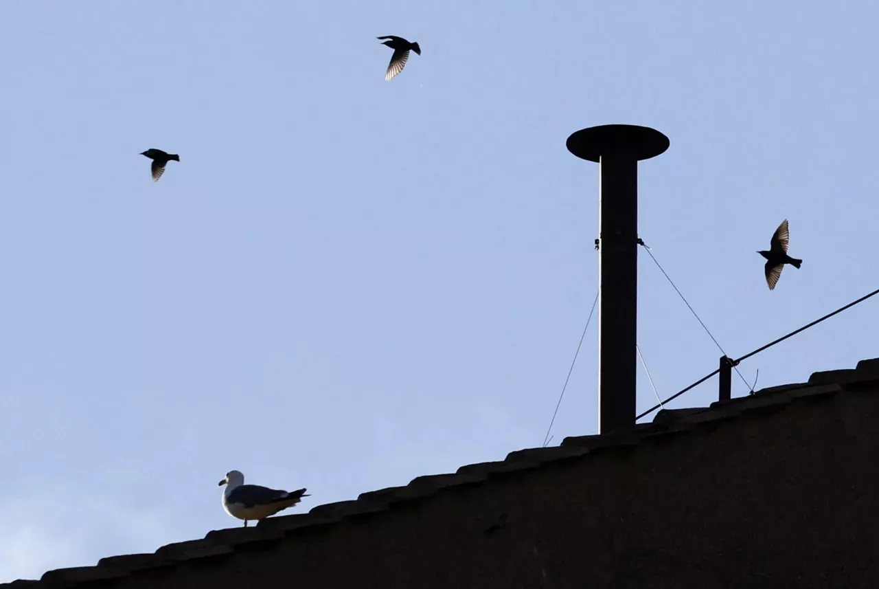 chimenea-vaticano-papa-efe