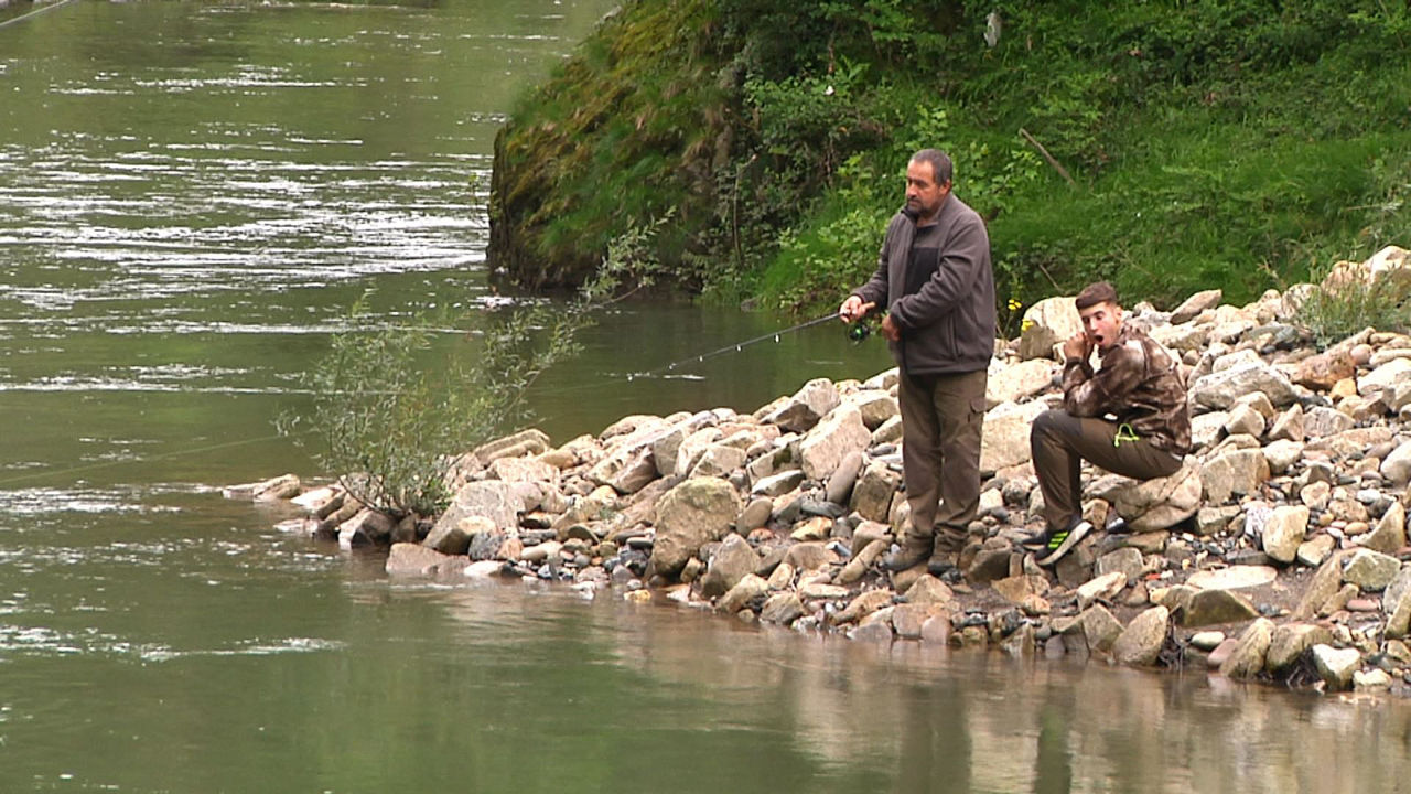 20250511091659_salmon_