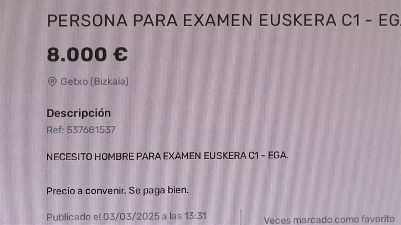 anuncio-HABE-azterketa-8000-euro