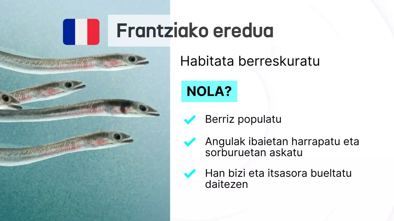 Angulak - Egun on - 4