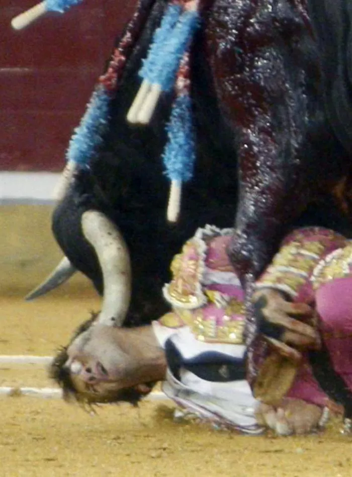 Cornada a Juan José Padilla. Foto: EFE