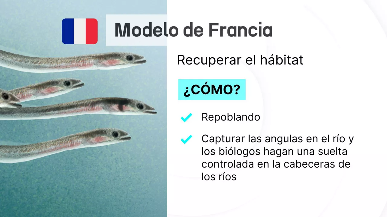 Angulak - Egun on - 7