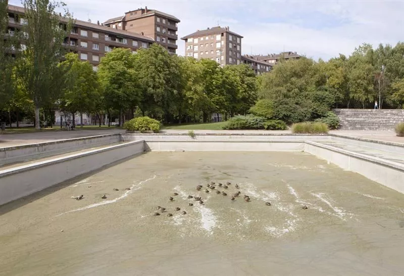 Un grupo de patos en el fondo seco del estanque de Arriaga. Foto: EFE