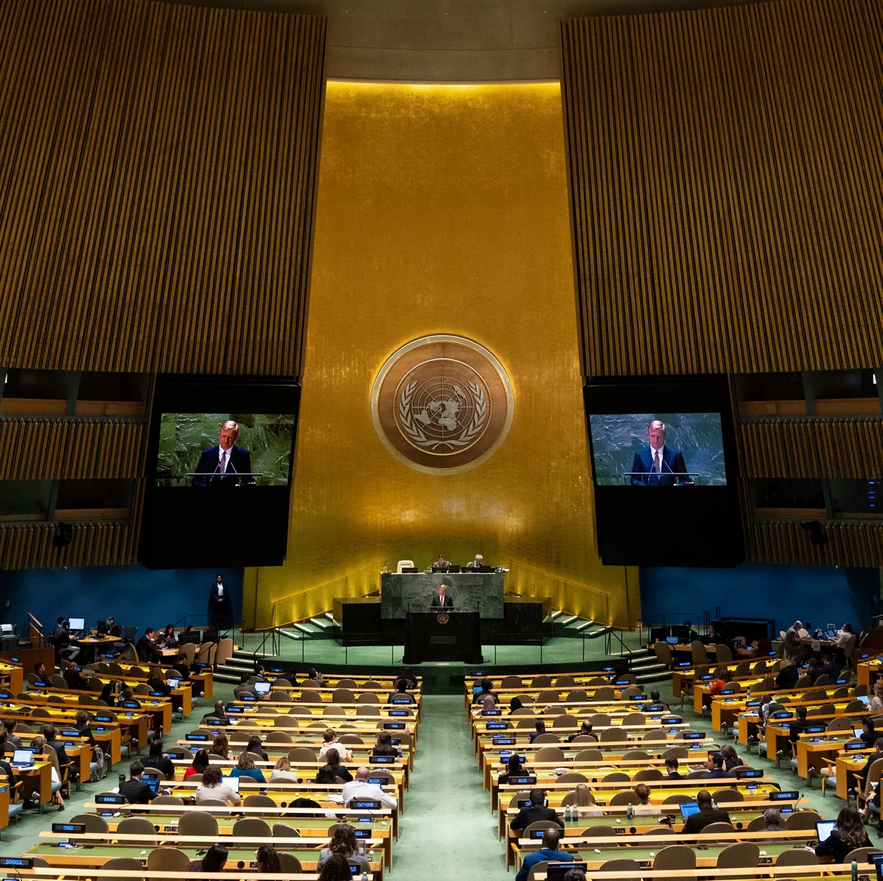 Asamblea General de la ONU