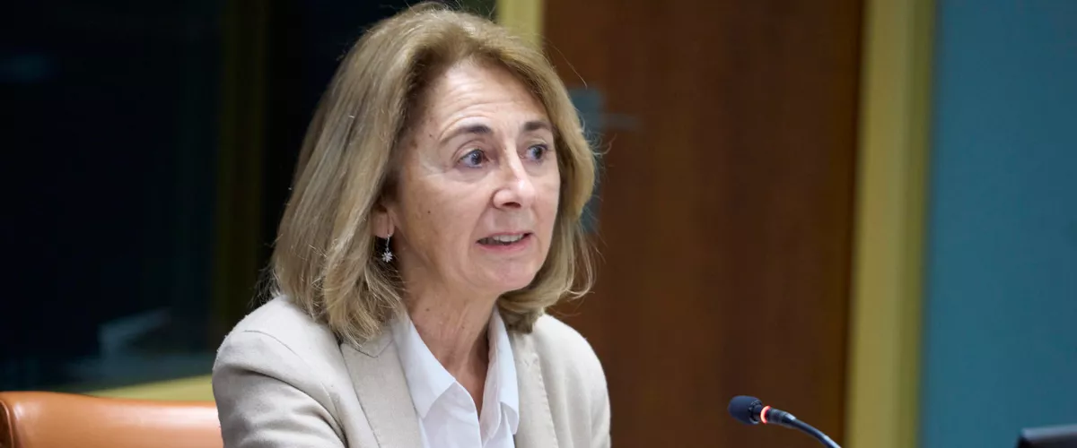 Durante la presentación de la Memoria de la Fiscalía de 2024 en una comisión del Parlamento Vasco, Carmen Adán ha apuntado a "cierta dejadez en la investigación" de casos de menores en redes de prostitución, "sobre la base de pensar que se trata de relaciones consentidas"