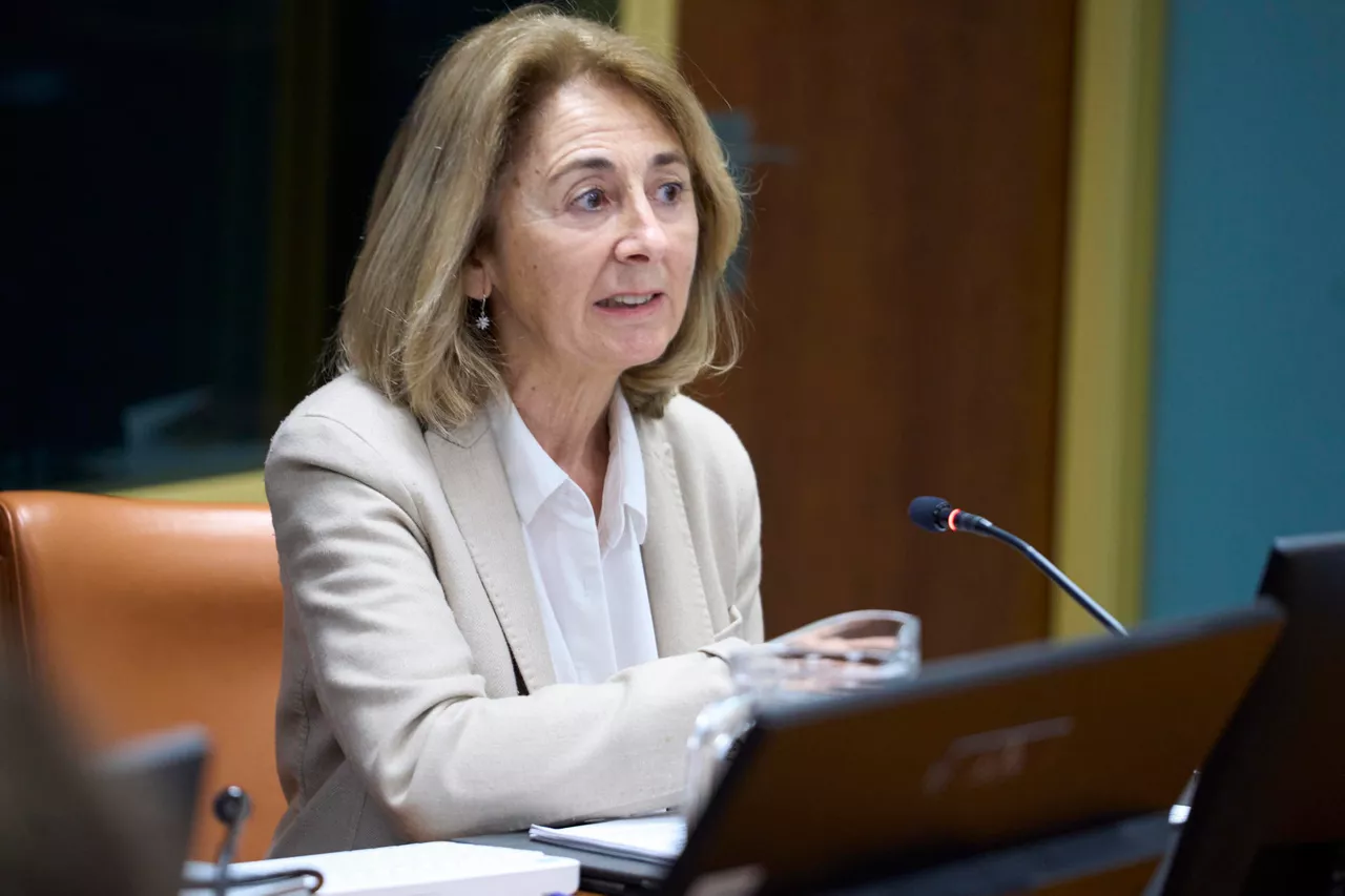 Durante la presentación de la Memoria de la Fiscalía de 2024 en una comisión del Parlamento Vasco, Carmen Adán ha apuntado a "cierta dejadez en la investigación" de casos de menores en redes de prostitución, "sobre la base de pensar que se trata de relaciones consentidas"
